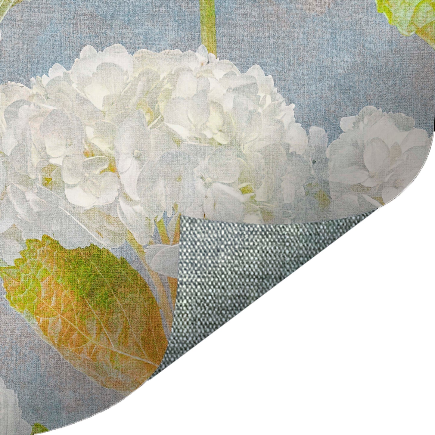 Photo Hydrangea Blue