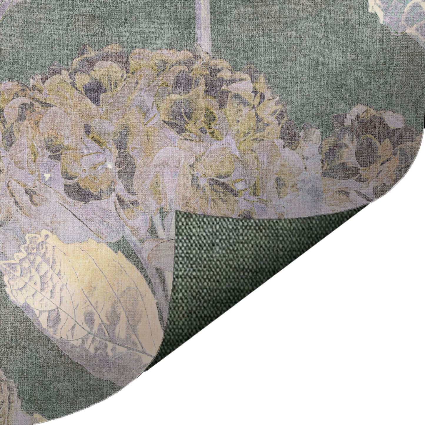 Photo Hydrangea Green