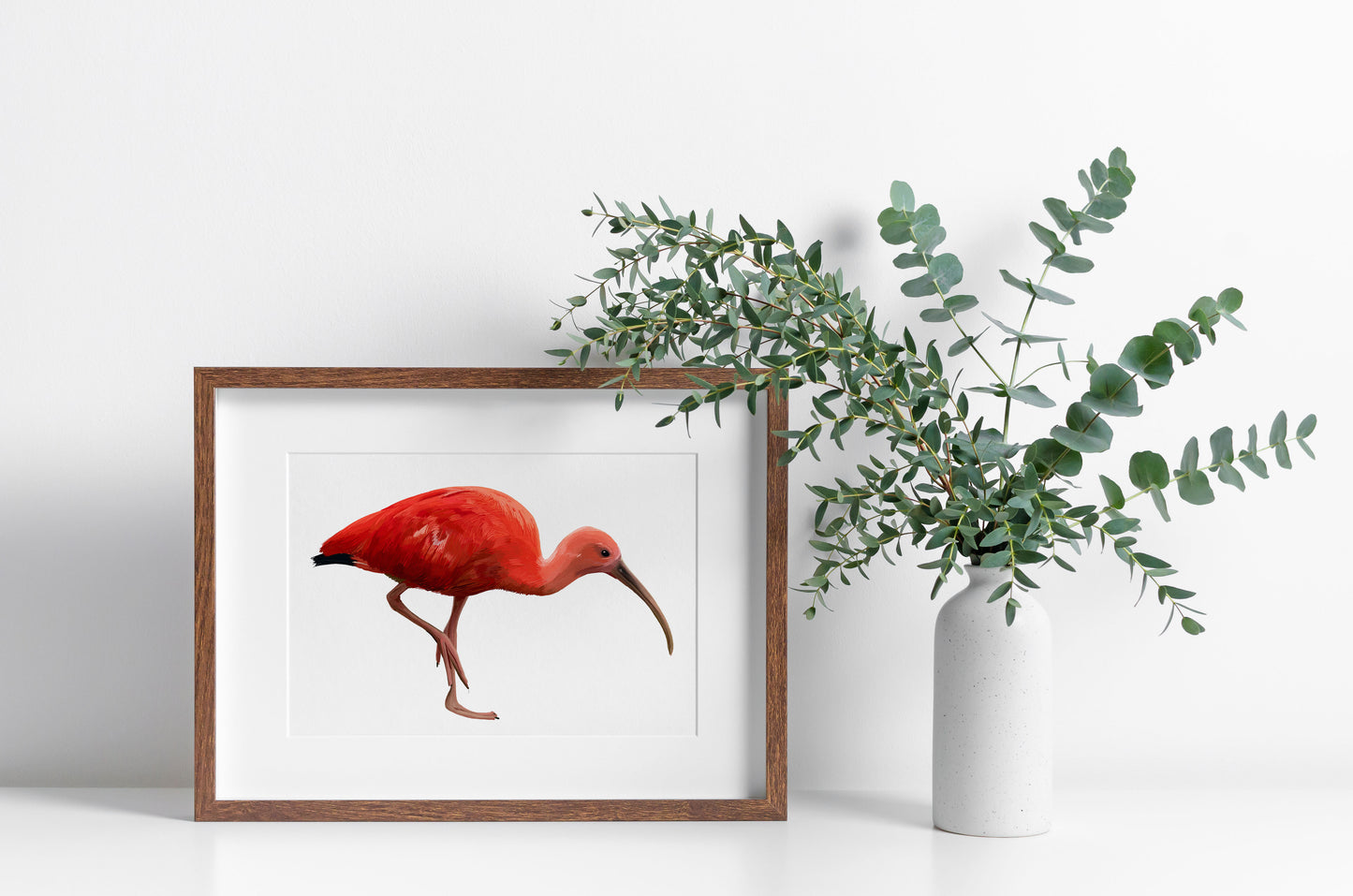 Ibis Hunting