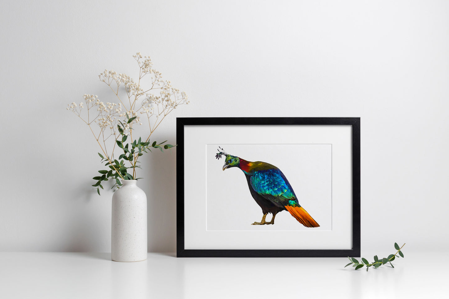 Impeyan Pheasant