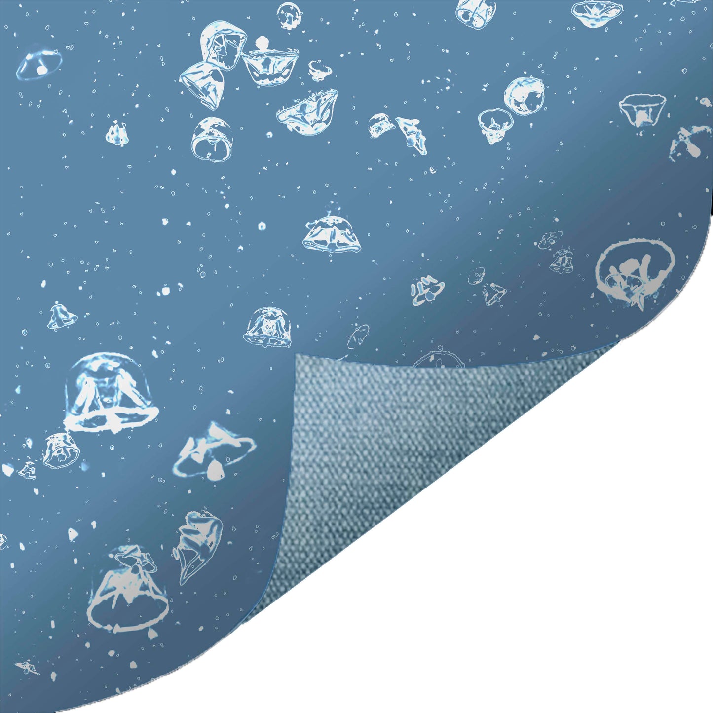 Photo Jellyfish Blue