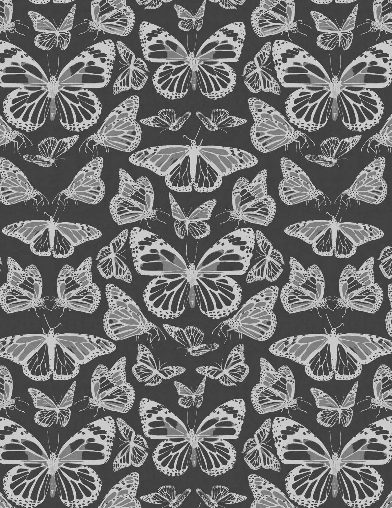 Monarchs Black