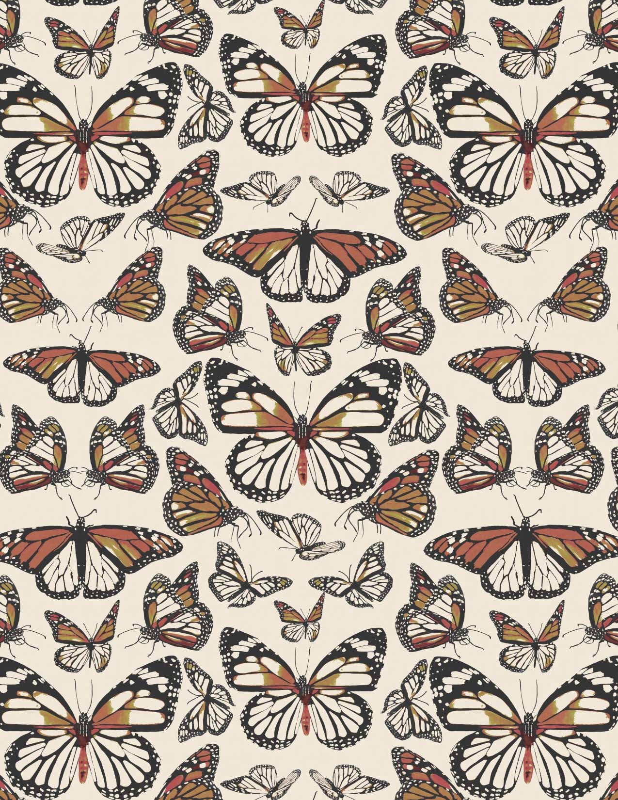 Monarchs Orange