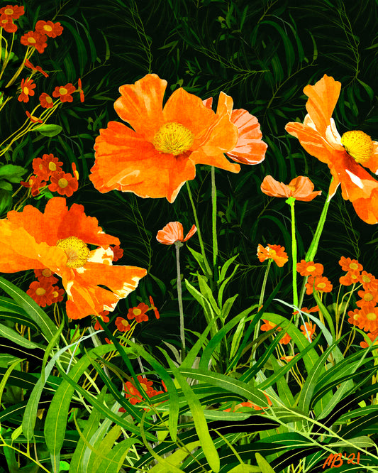 Poppies