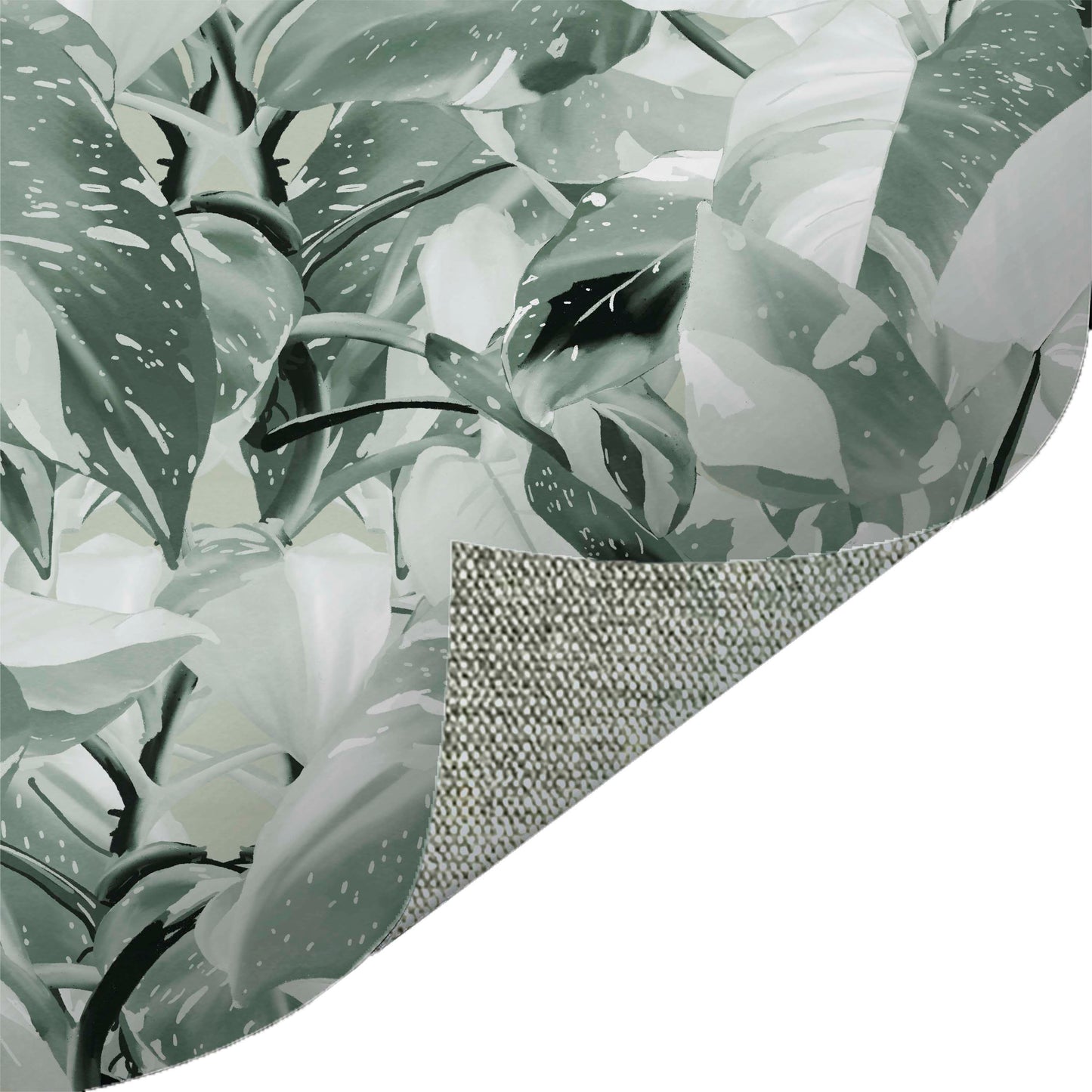 Princess Philodendron Sage