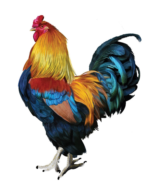 Prize Rooster