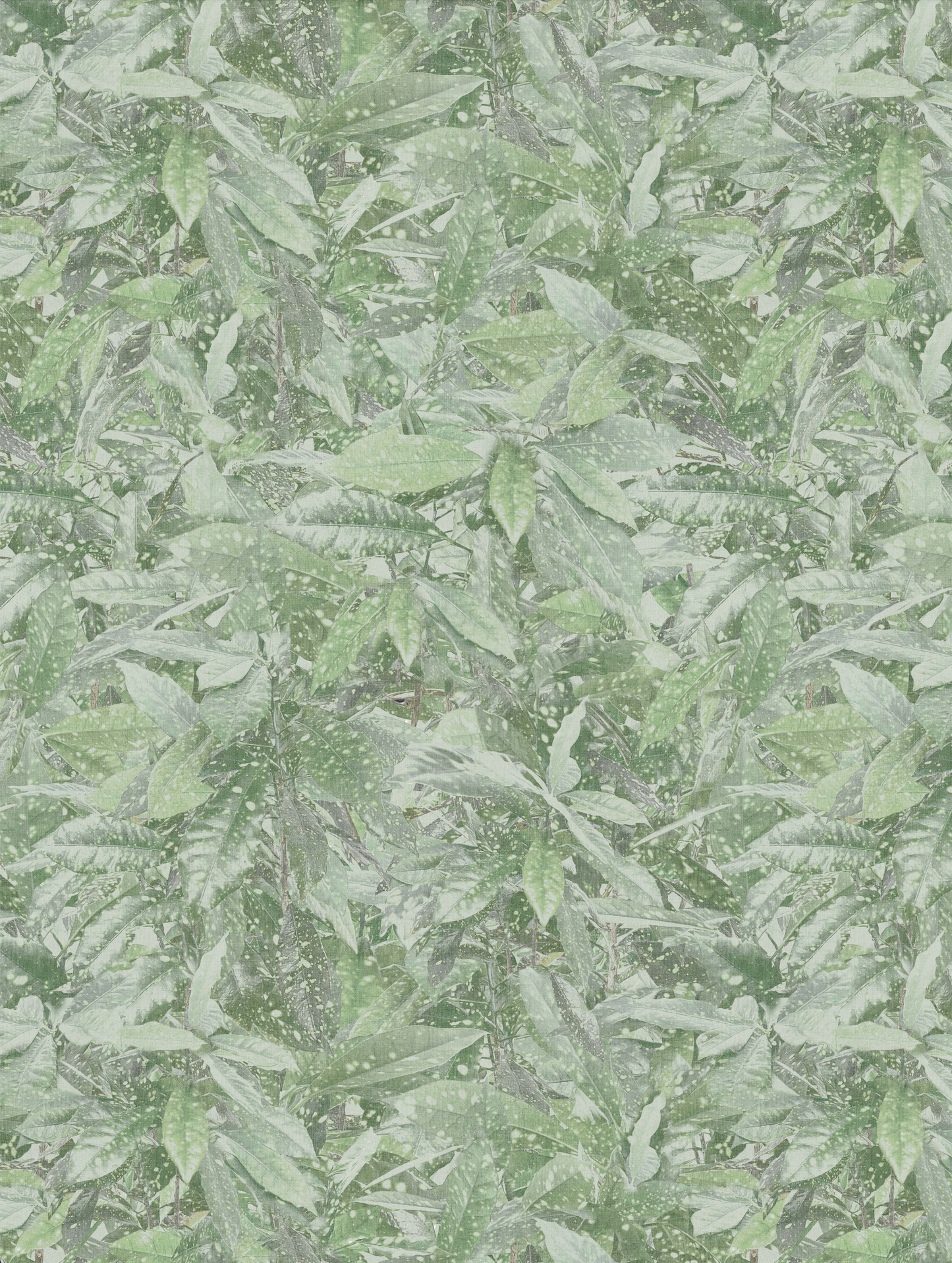 Photo Spotted Leaves Green
