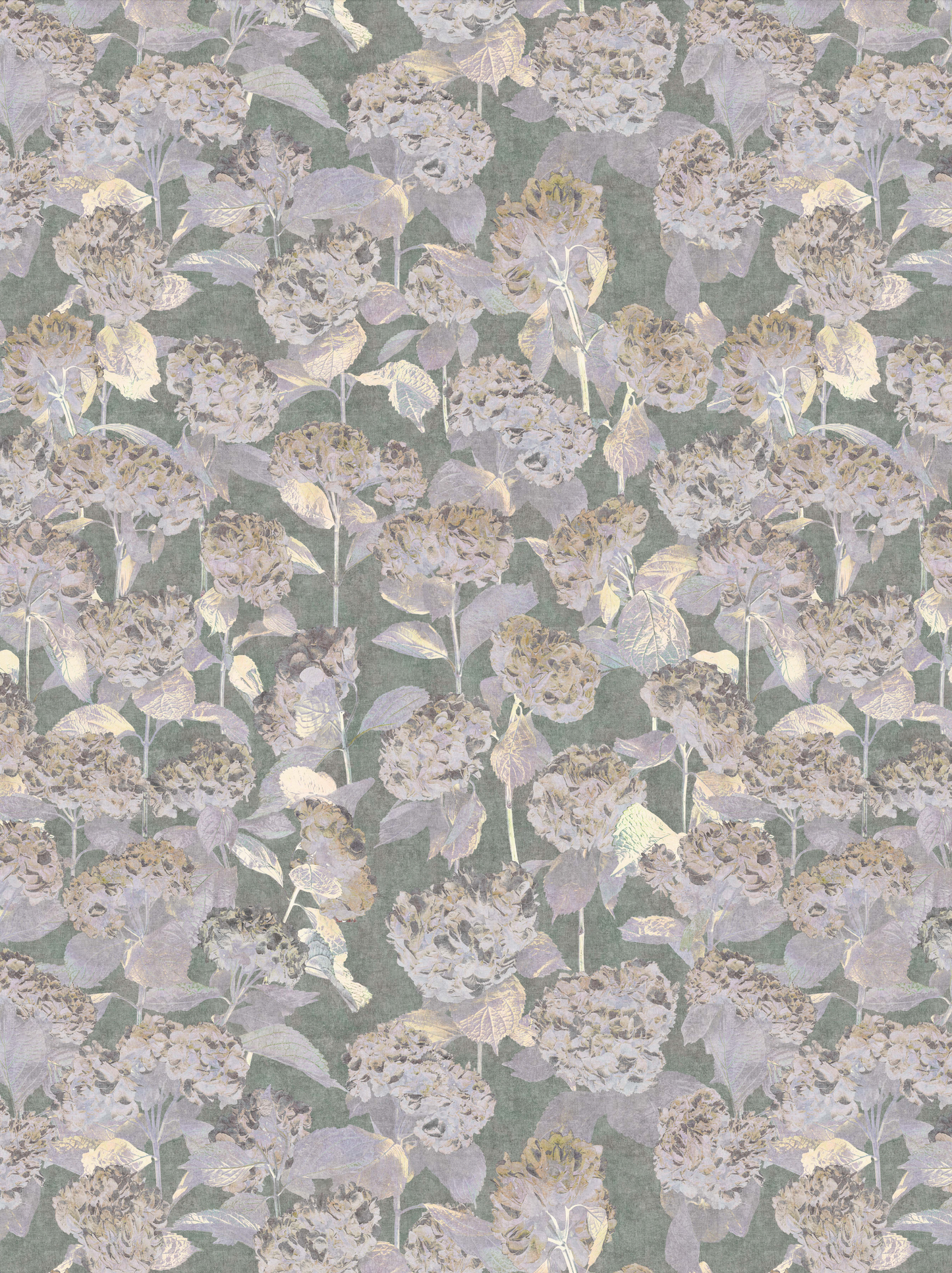 Photo Hydrangea Green