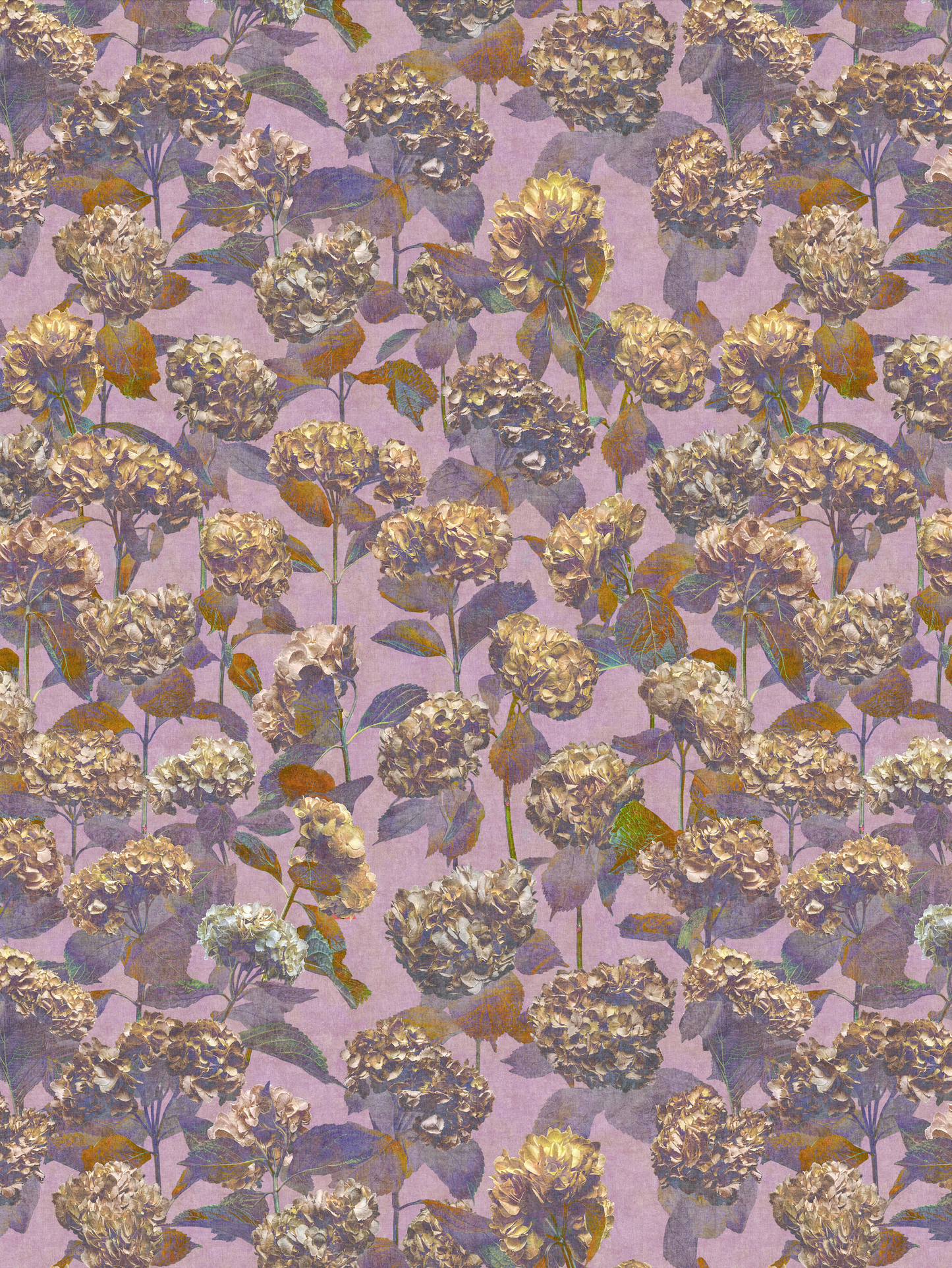 Photo Hydrangea Pink