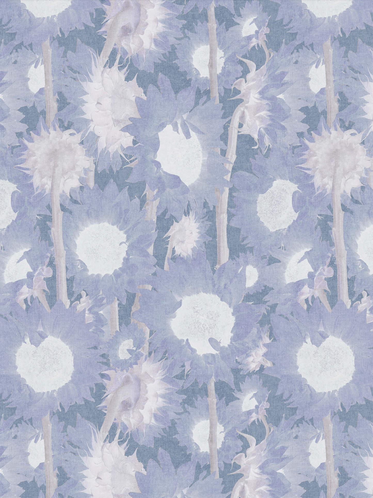 Photo Sunflowers Blue