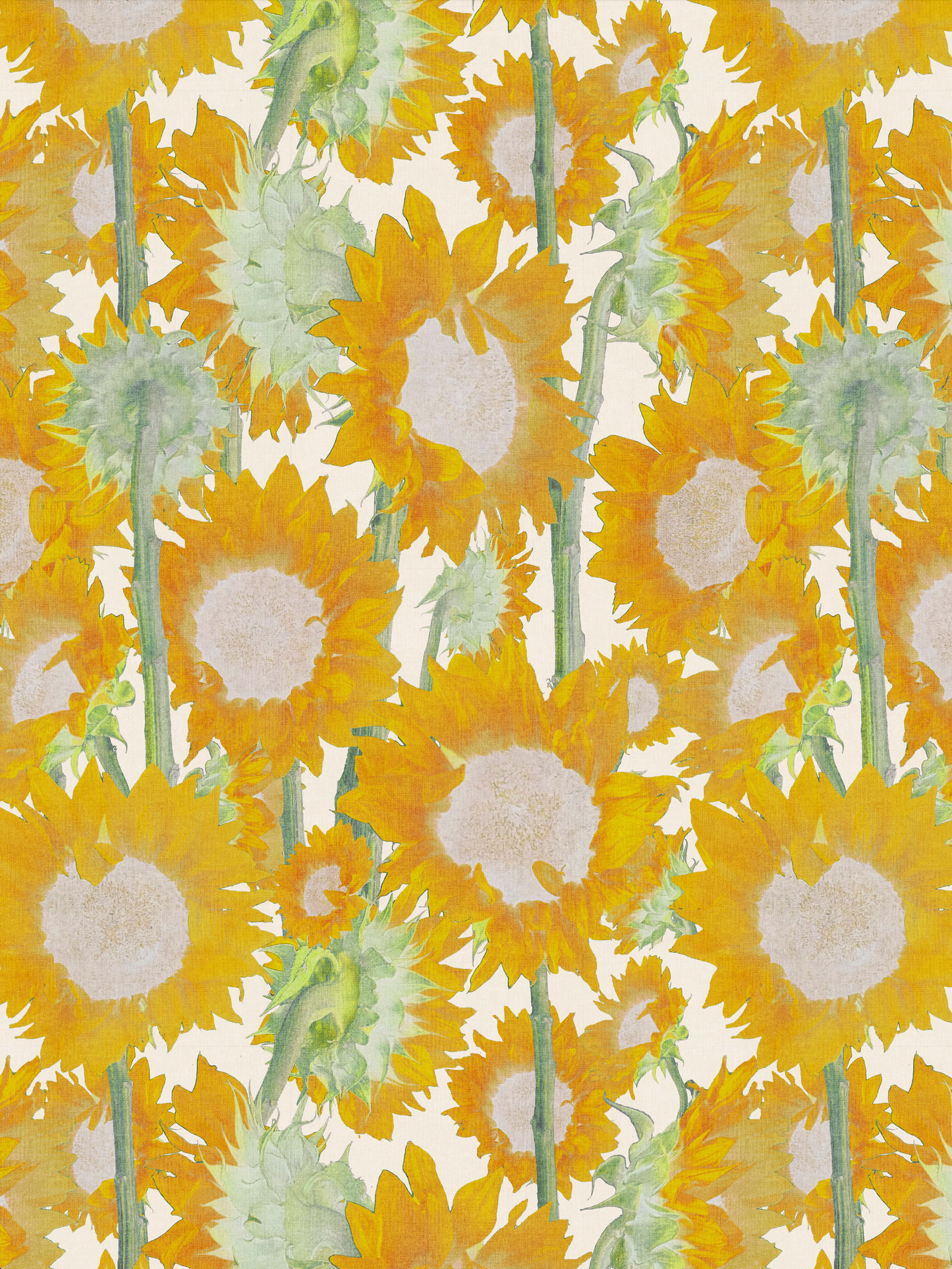 Photo Sunflowers Yellow
