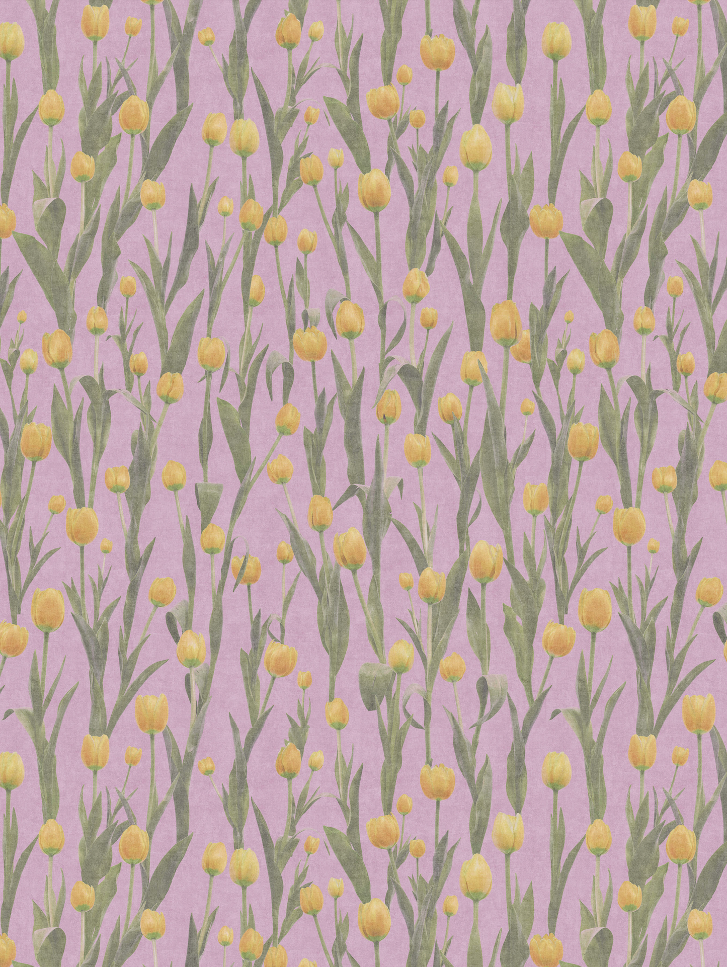 Photo Tulips Pink