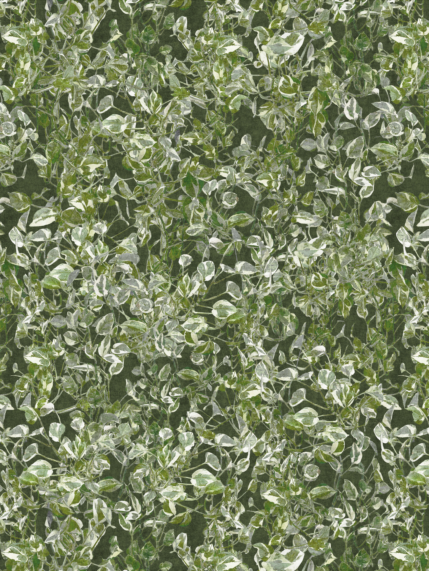 Photo Vines Green