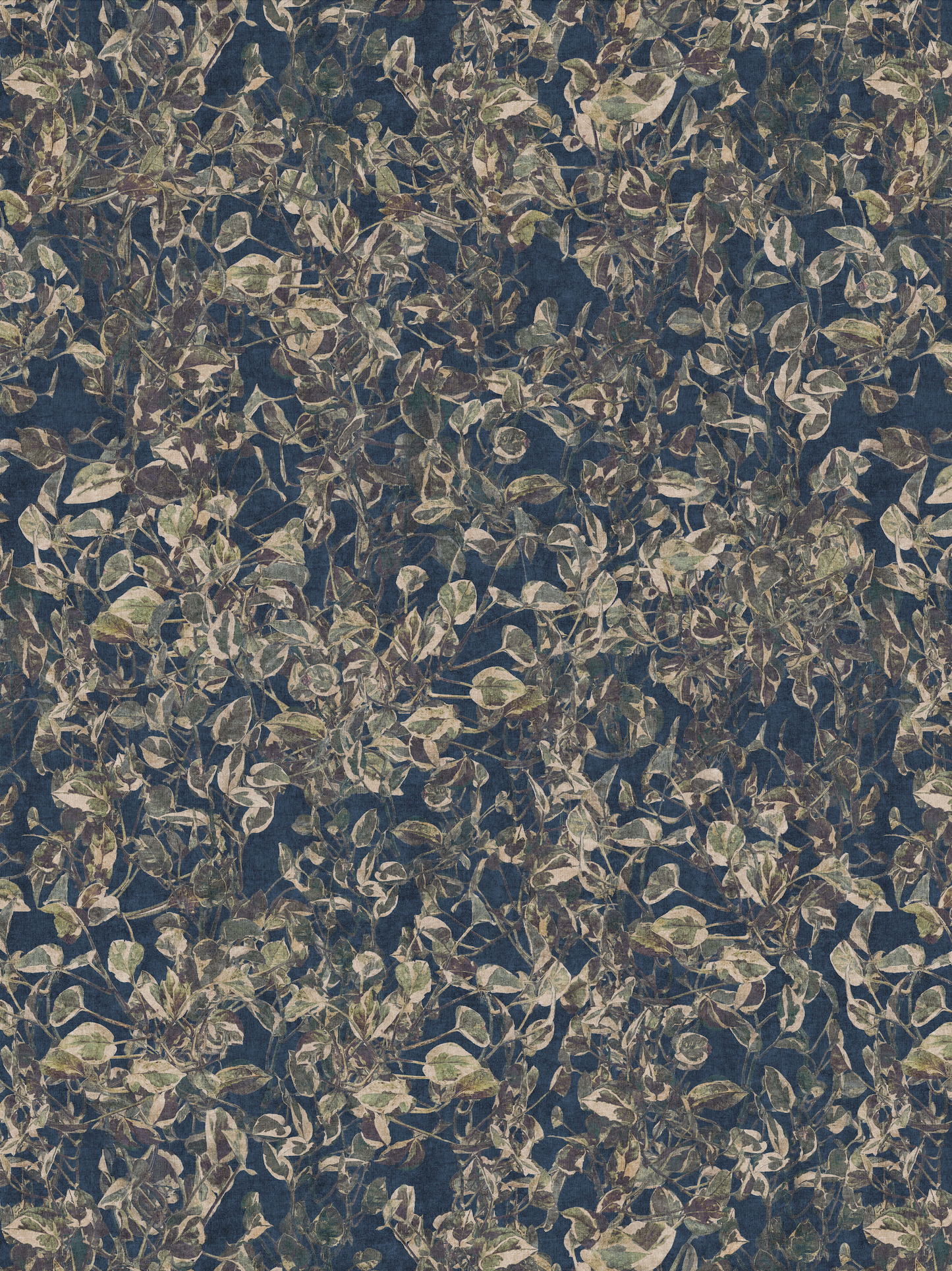 Photo Vines Navy