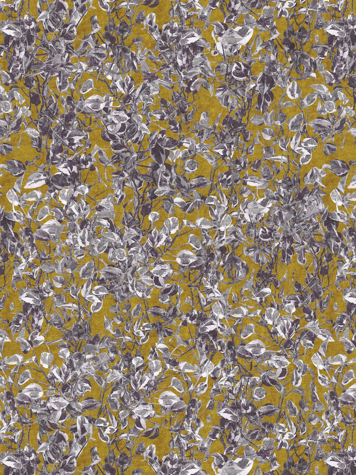 Photo Vines Mustard