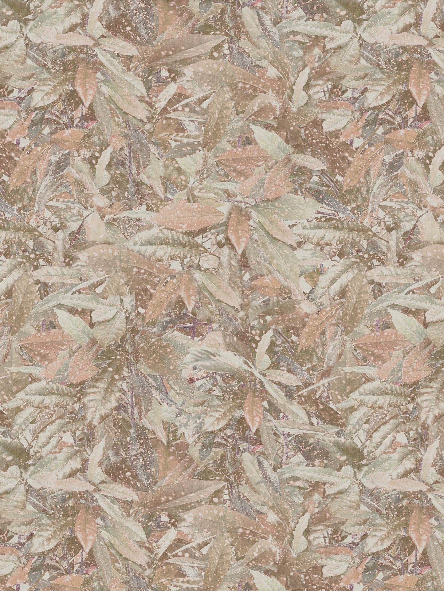 Photo Spotted Leaves Umber