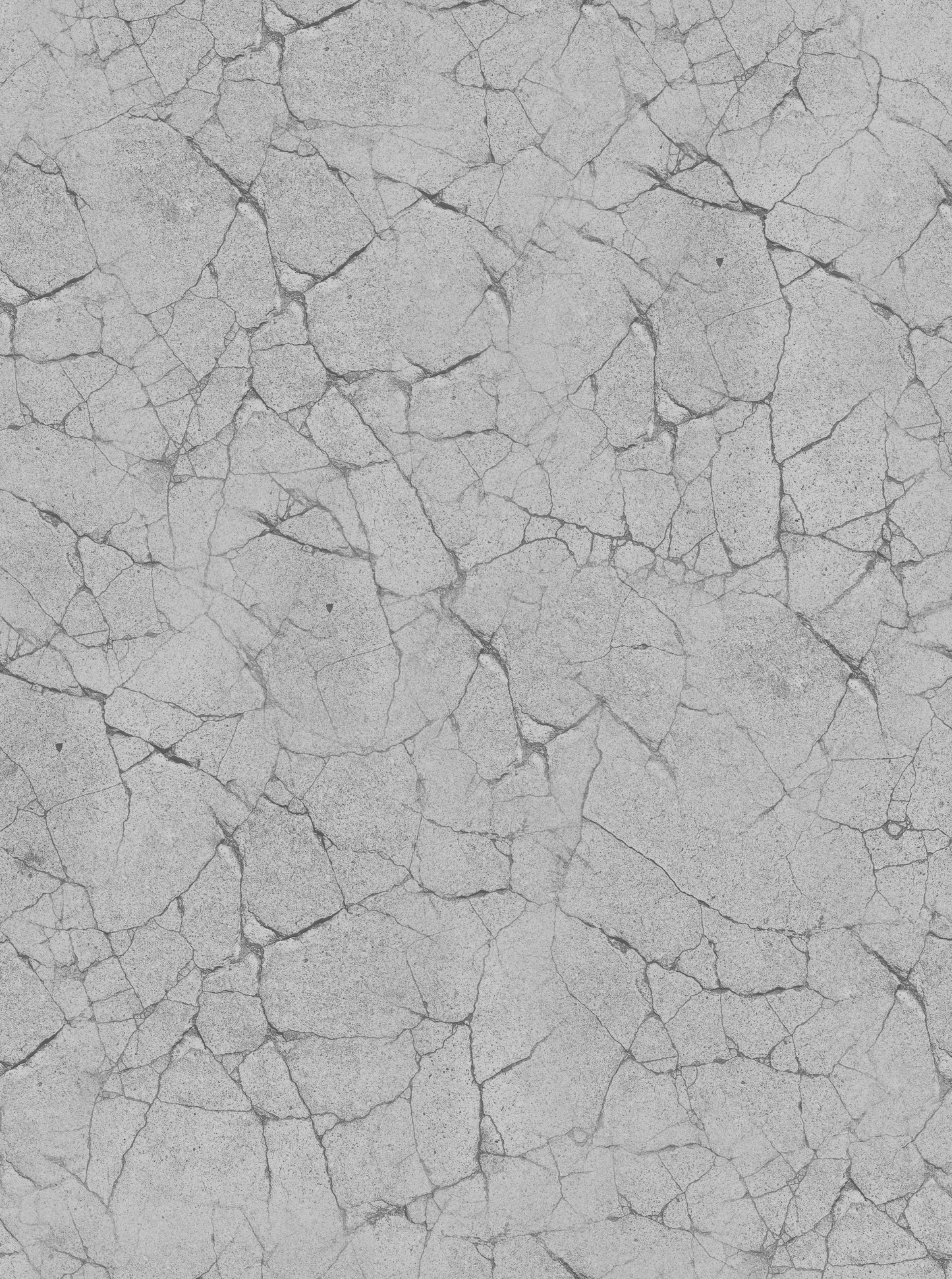 Photo Cracks Grey