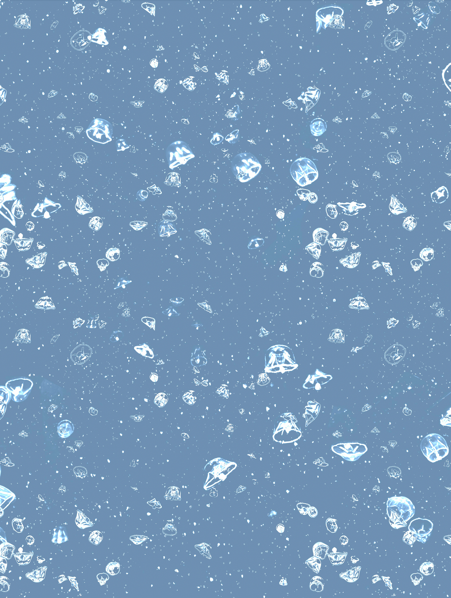 Photo Jellyfish Blue