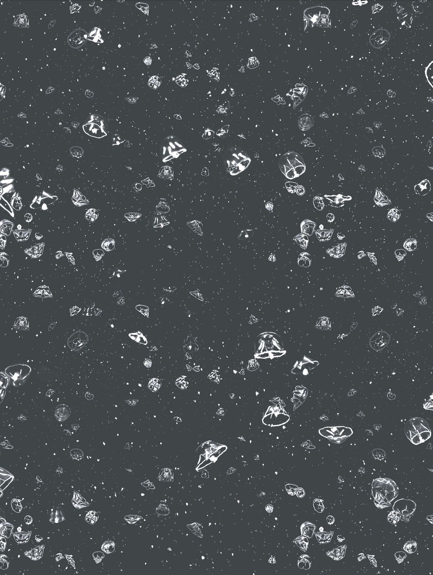 Photo Jellyfish Black
