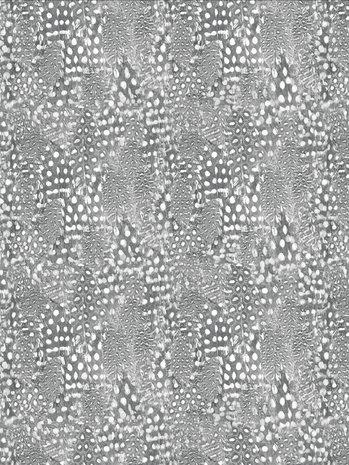 Photo Polka Dot Feathers Black