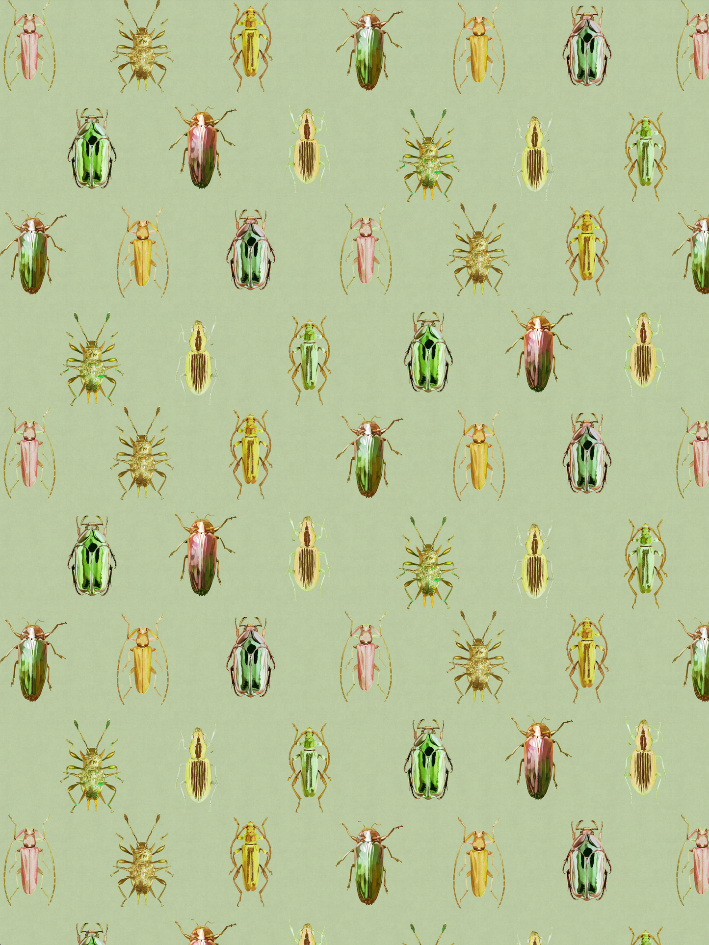 Bug Imaginarium Green