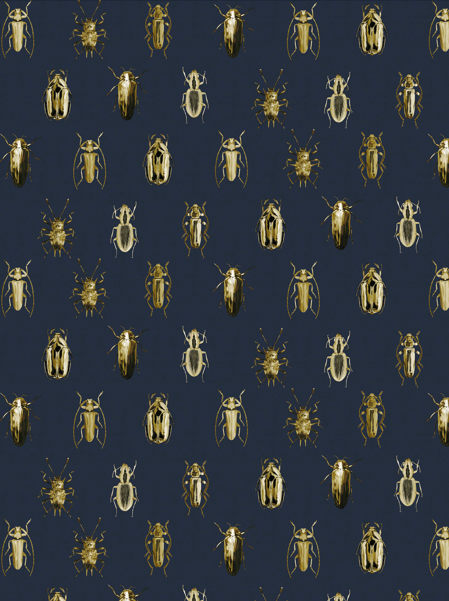Bug Imaginarium Navy