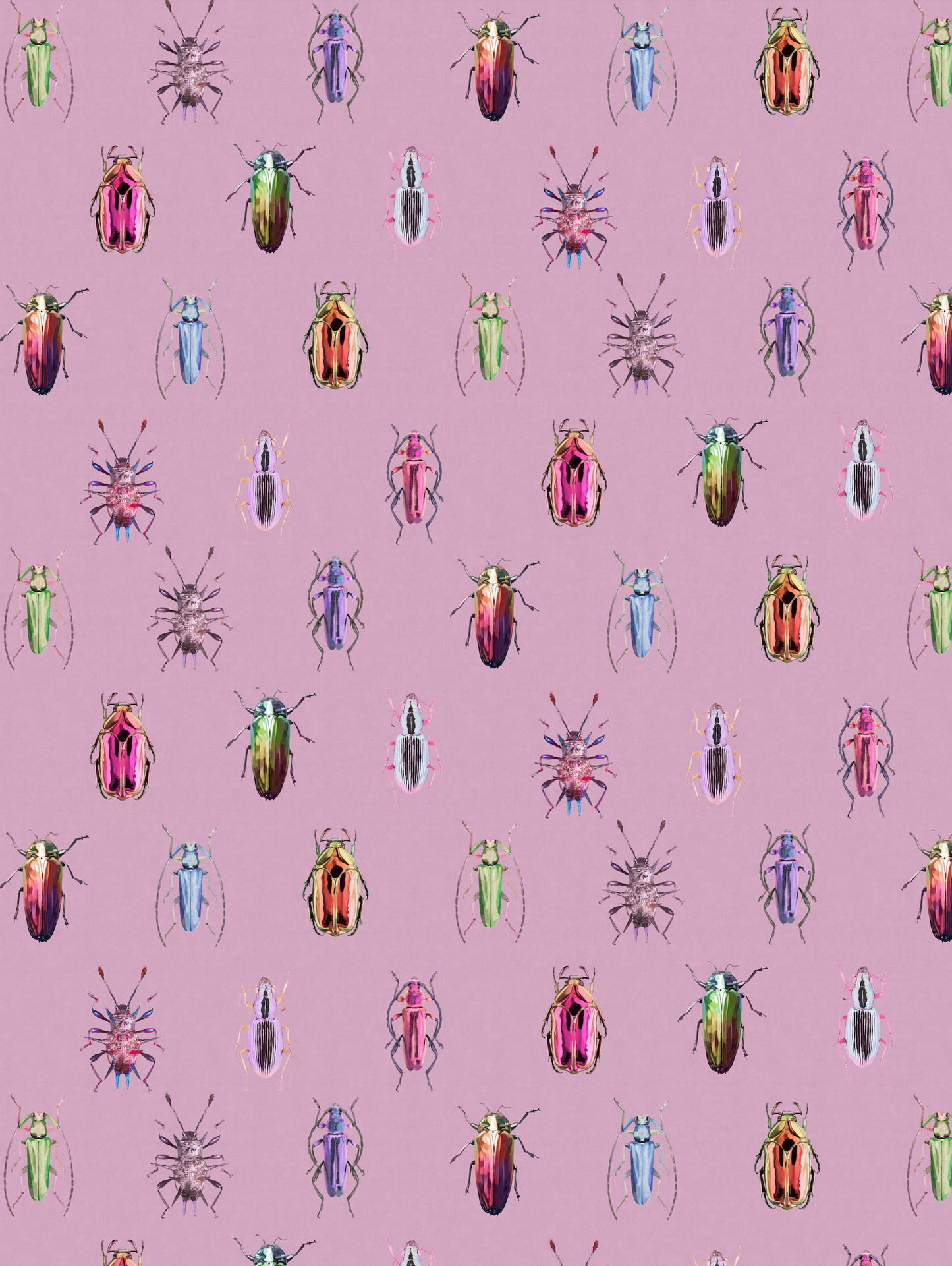 Bug Imaginarium Pink