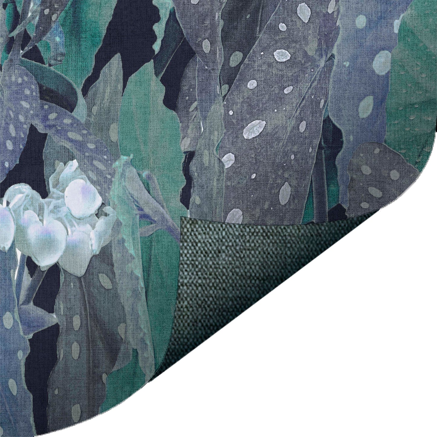 Photo Spotted Begonia Blue