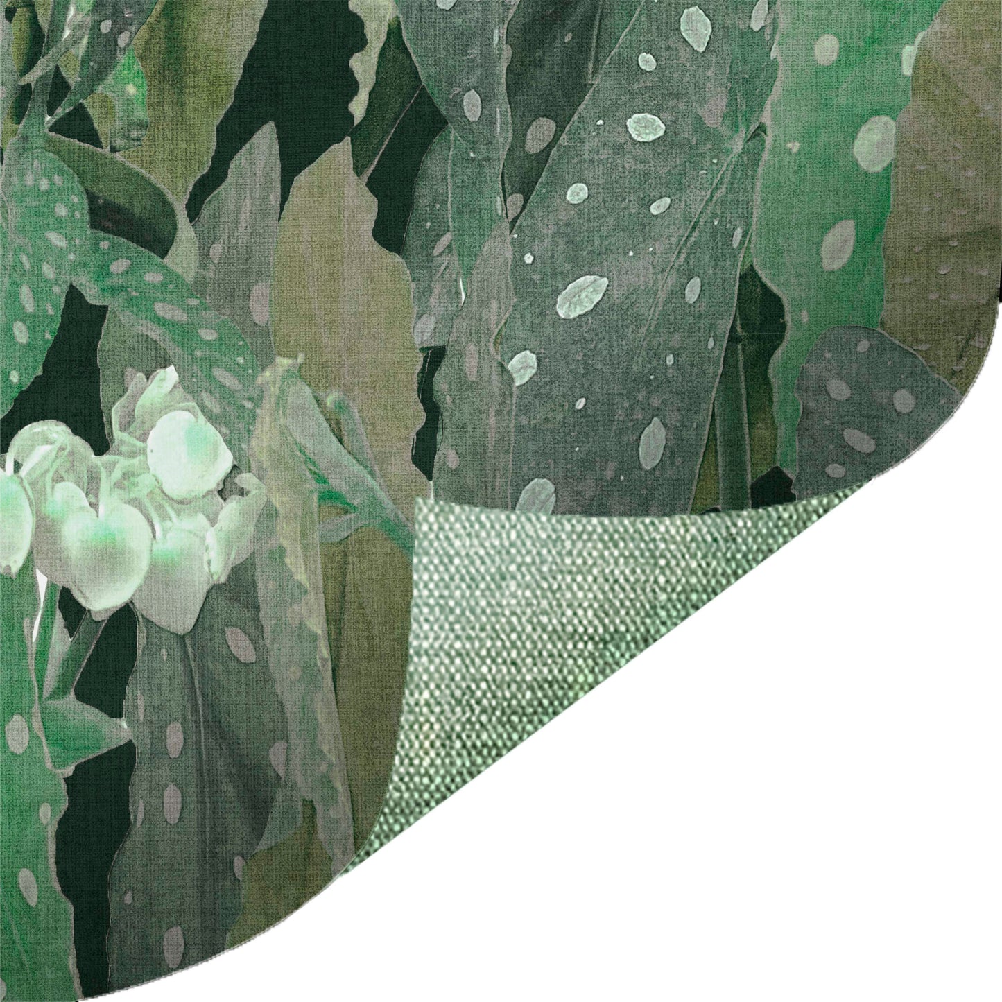 Photo Spotted Begonia Green
