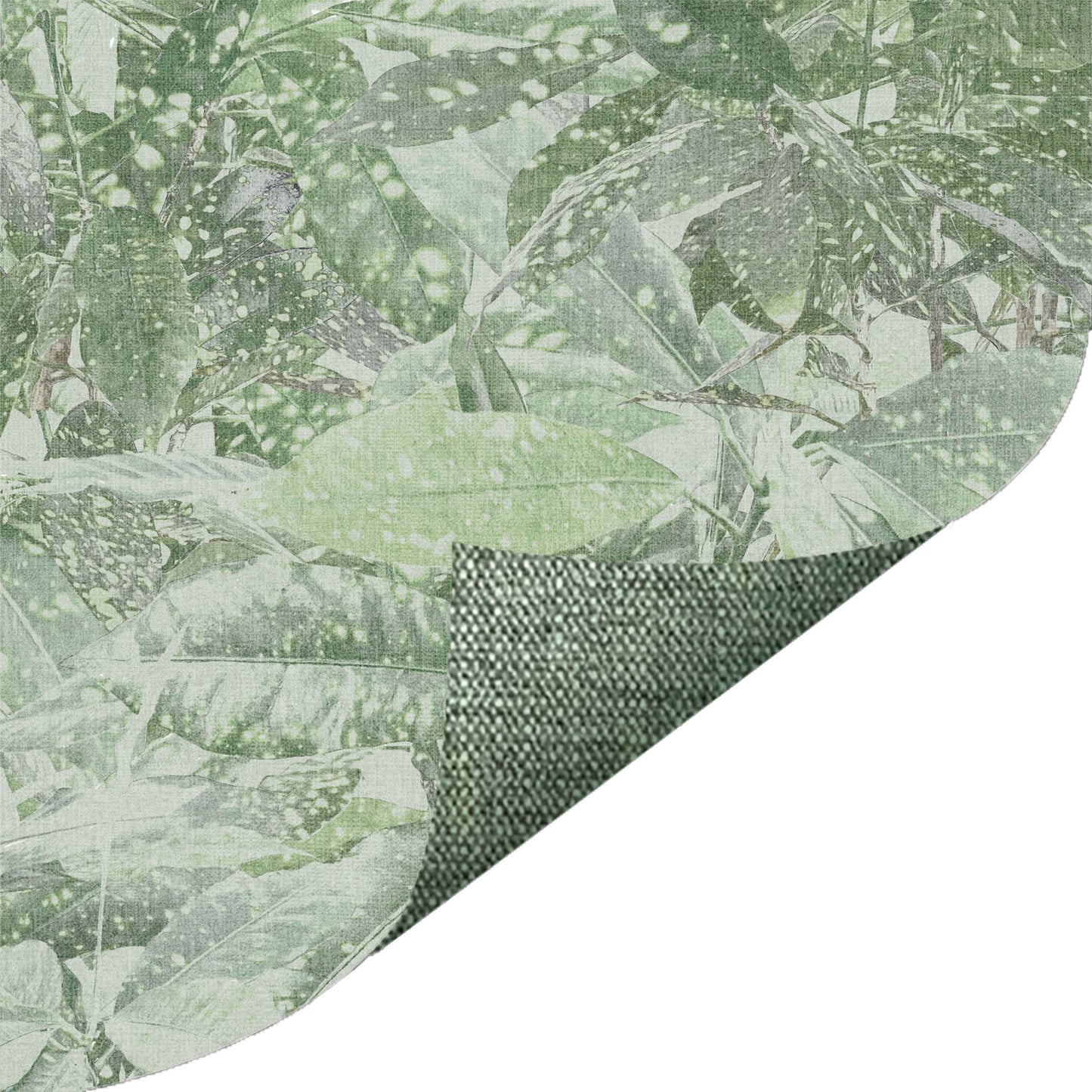 Photo Spotted Leaves Green