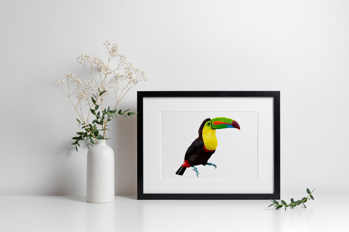 Toucan