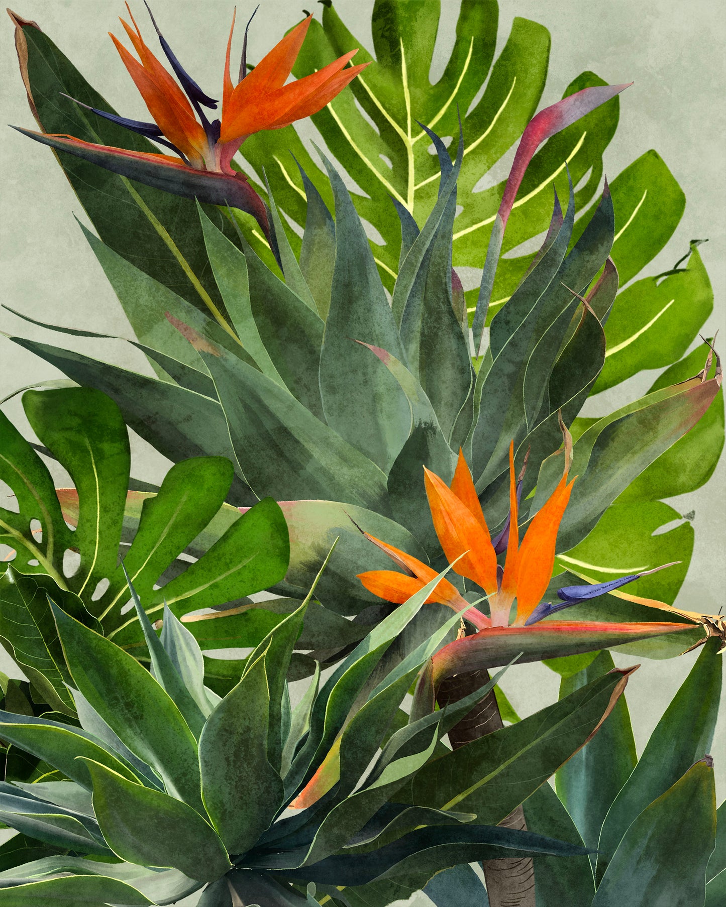 Tropical
