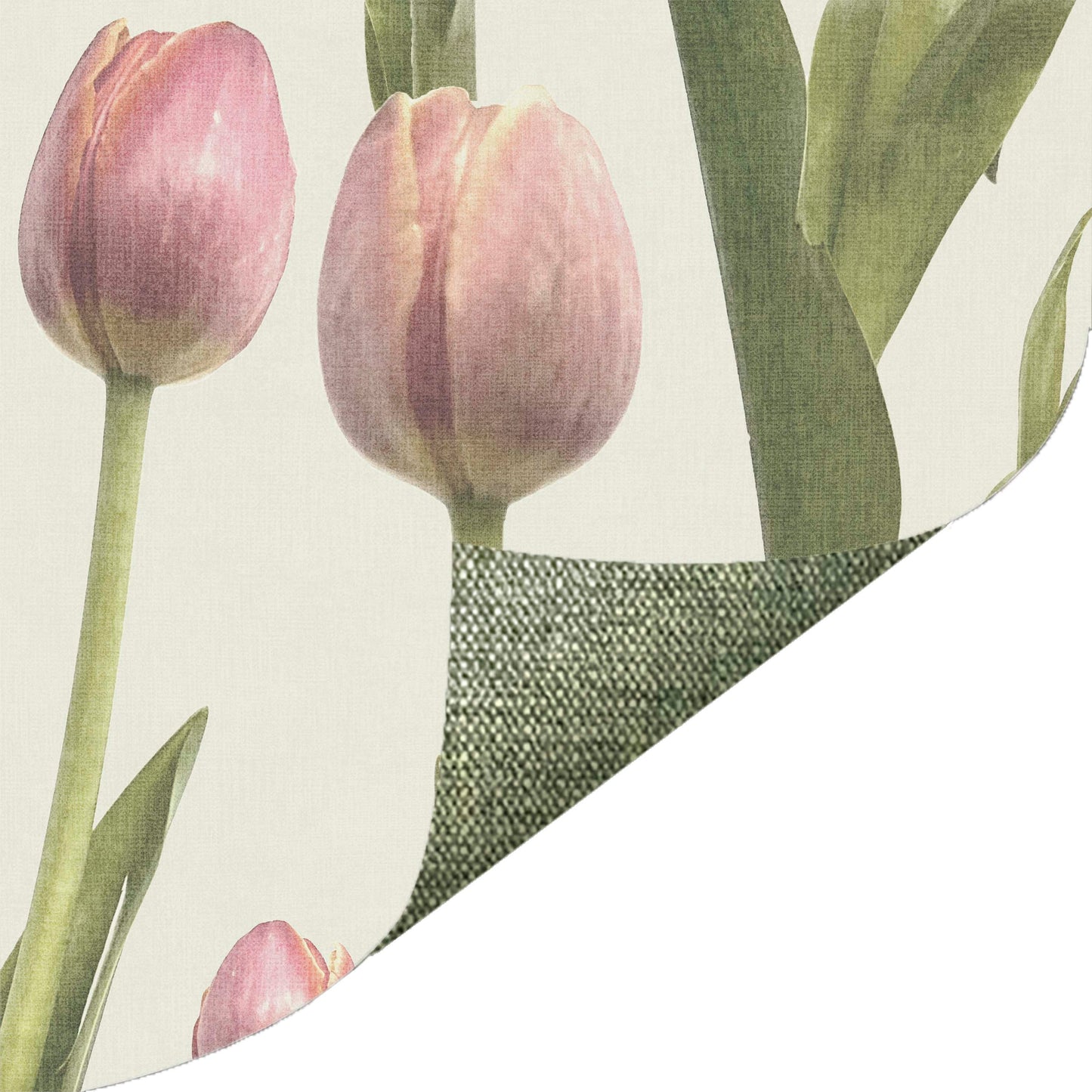Photo Tulips Green