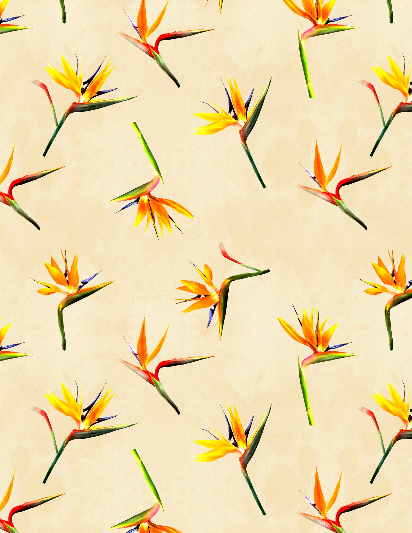 Birds of Paradise Yellow