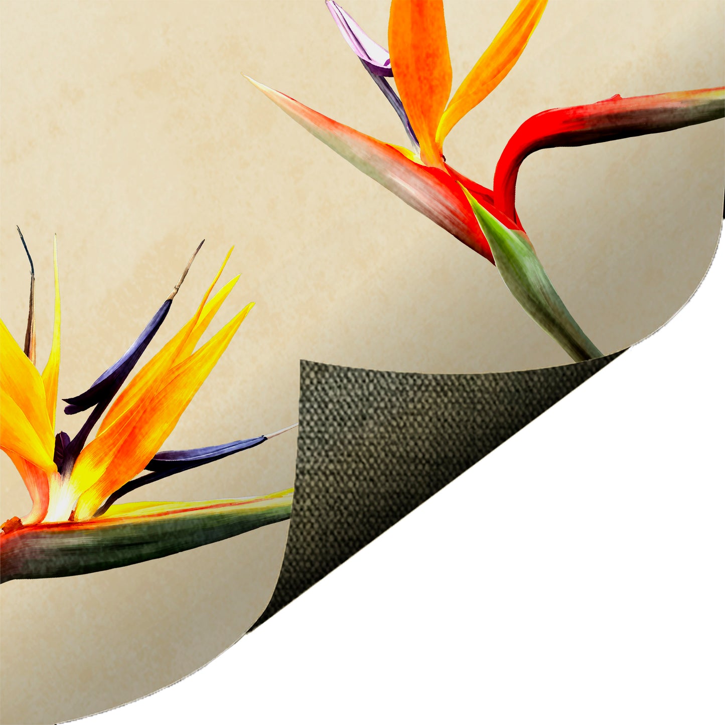 Birds of Paradise Yellow