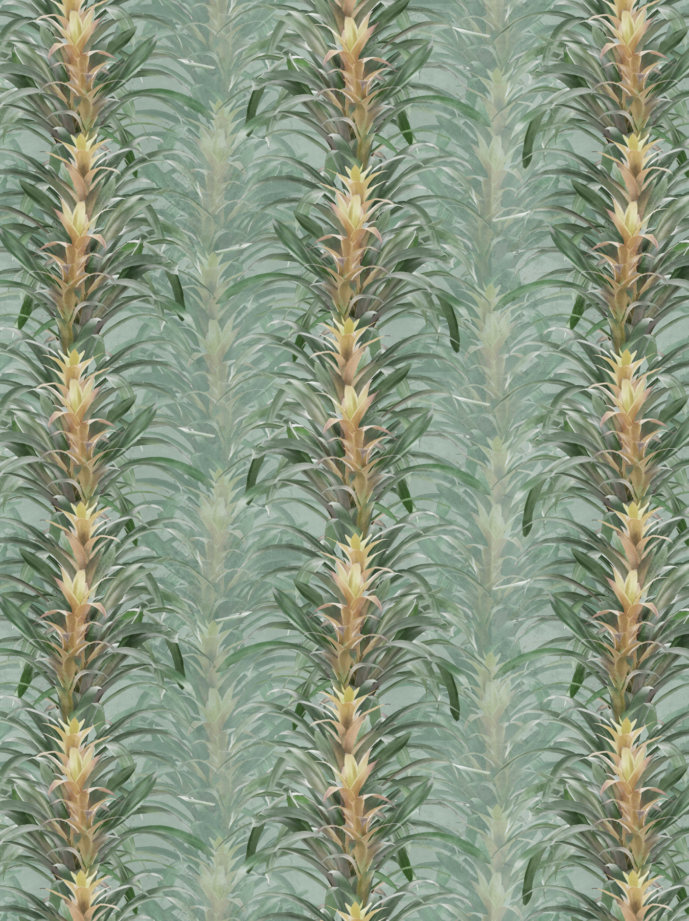 Bromeliads Green
