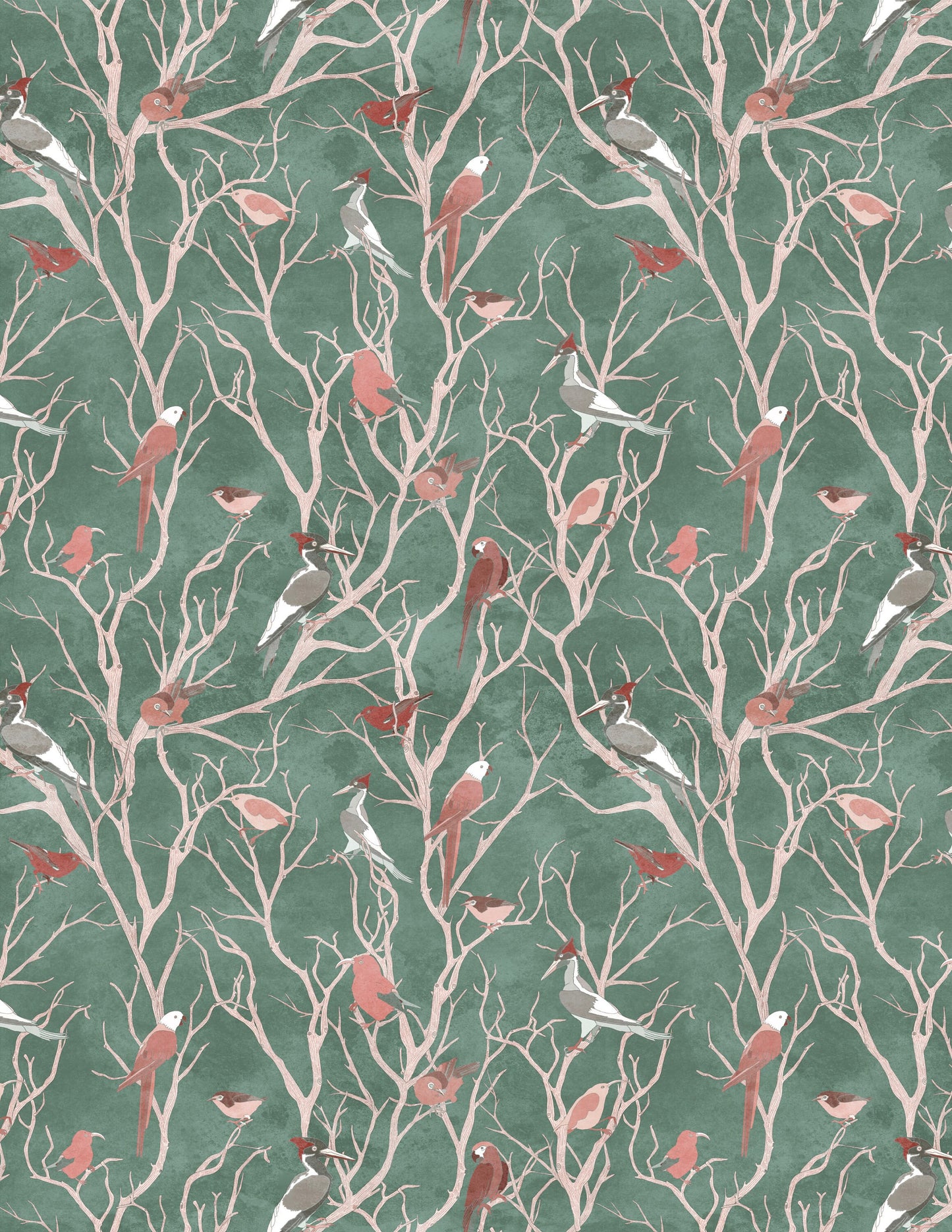Birds of Time Sage