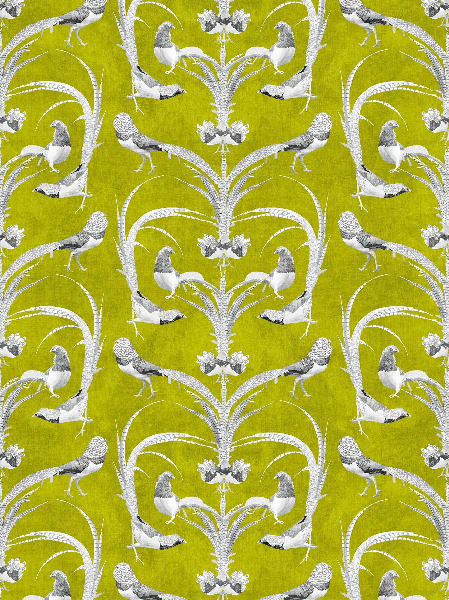 Lady Amherst Mustard