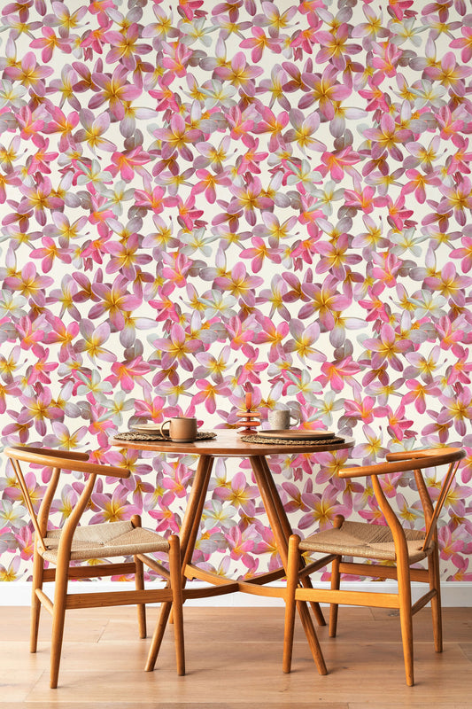 Plumeria Pink