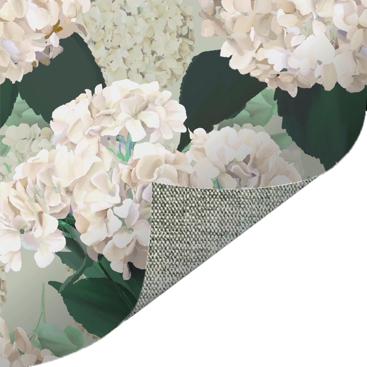 Hydrangea Green