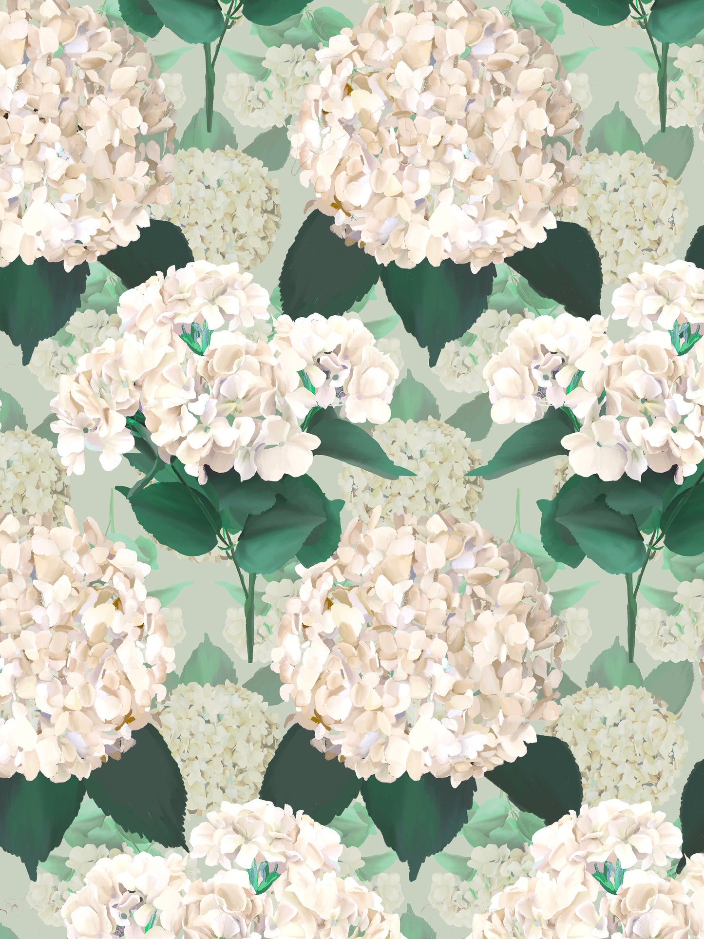 Hydrangea Green