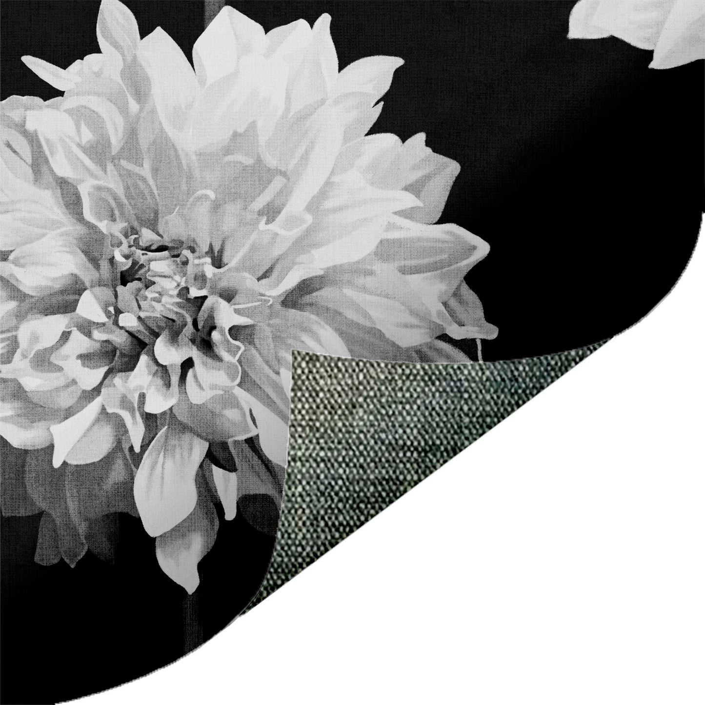 Dahlia Black