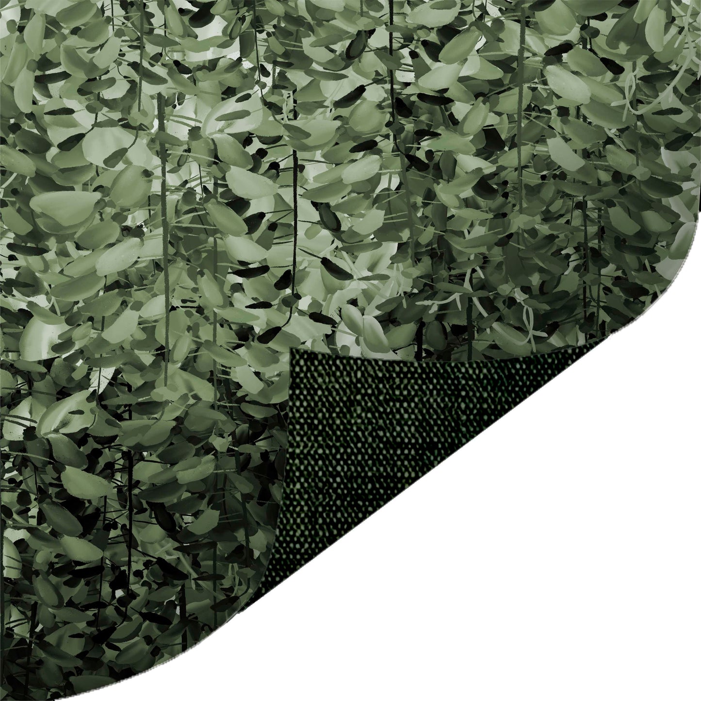 Wisteria Green