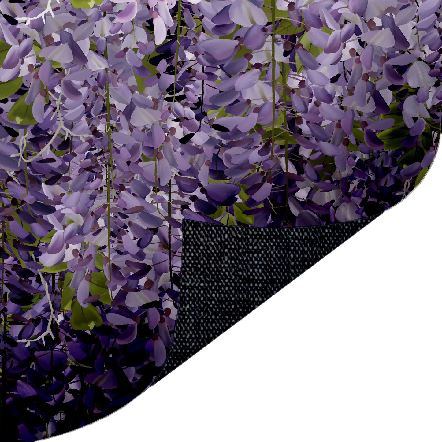 Wisteria Purple