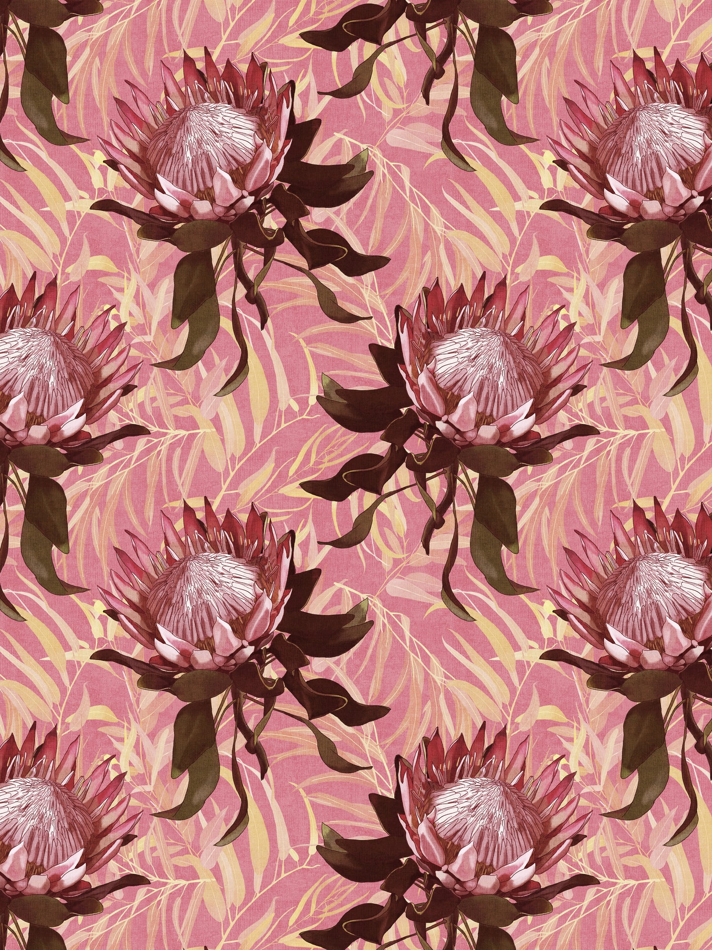 Empress Protea Pink