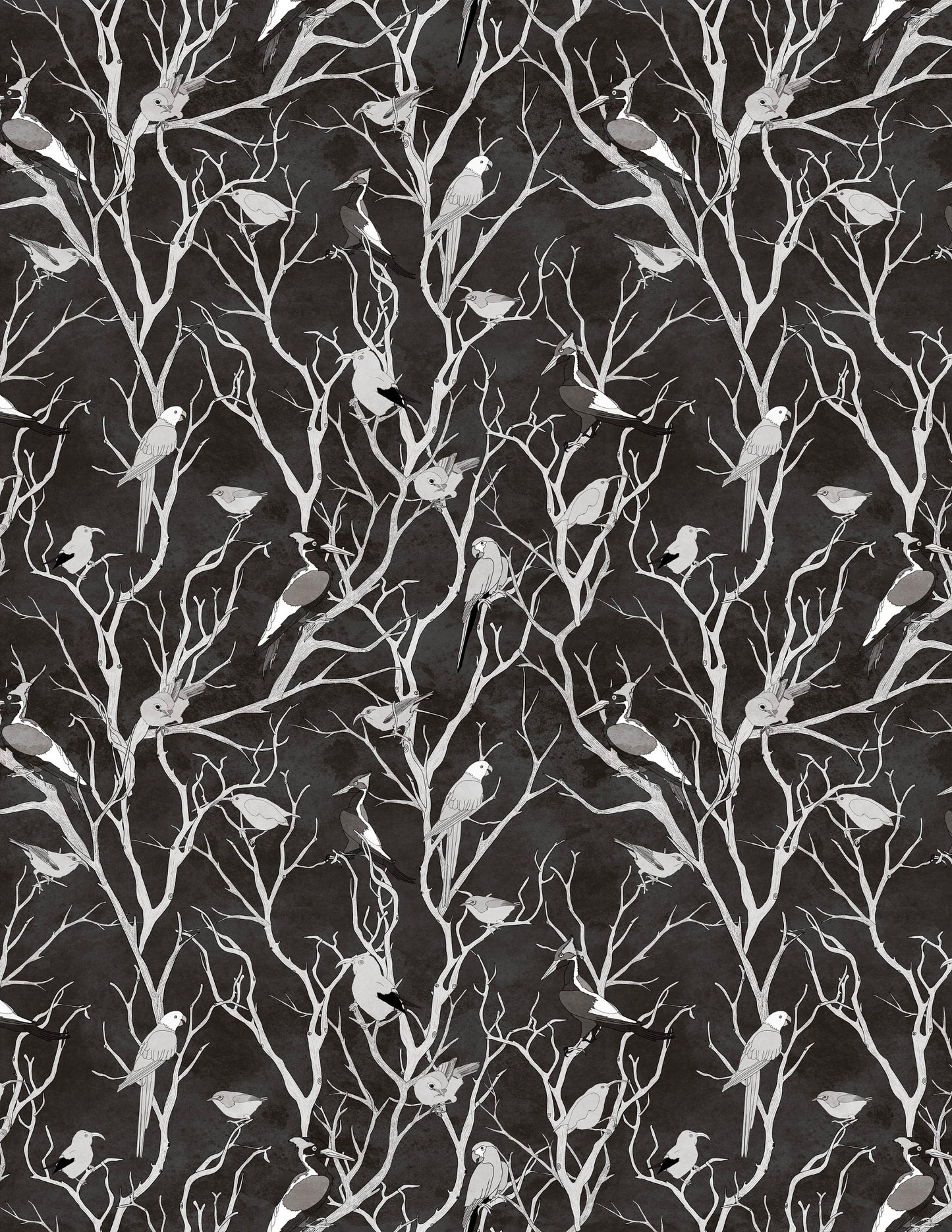 Birds of Time Black