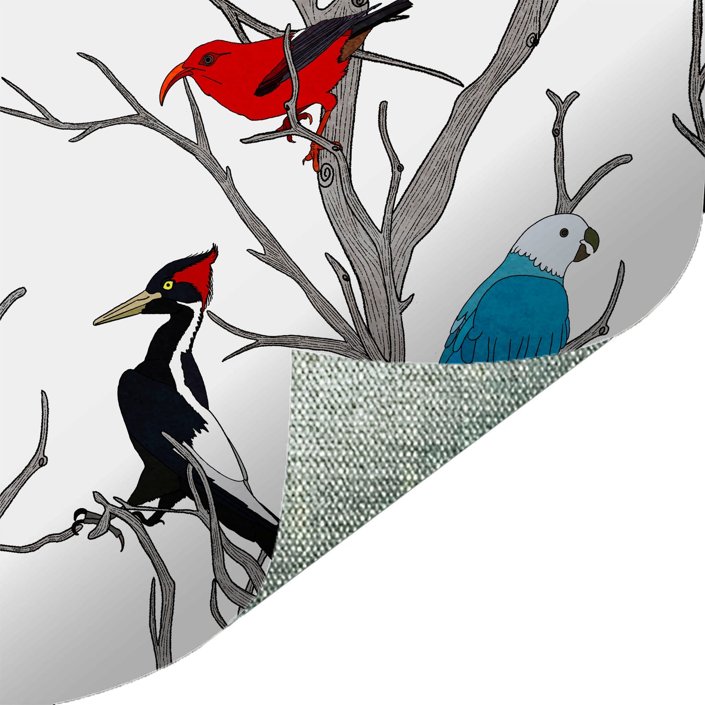 Birds of Time Multicolor