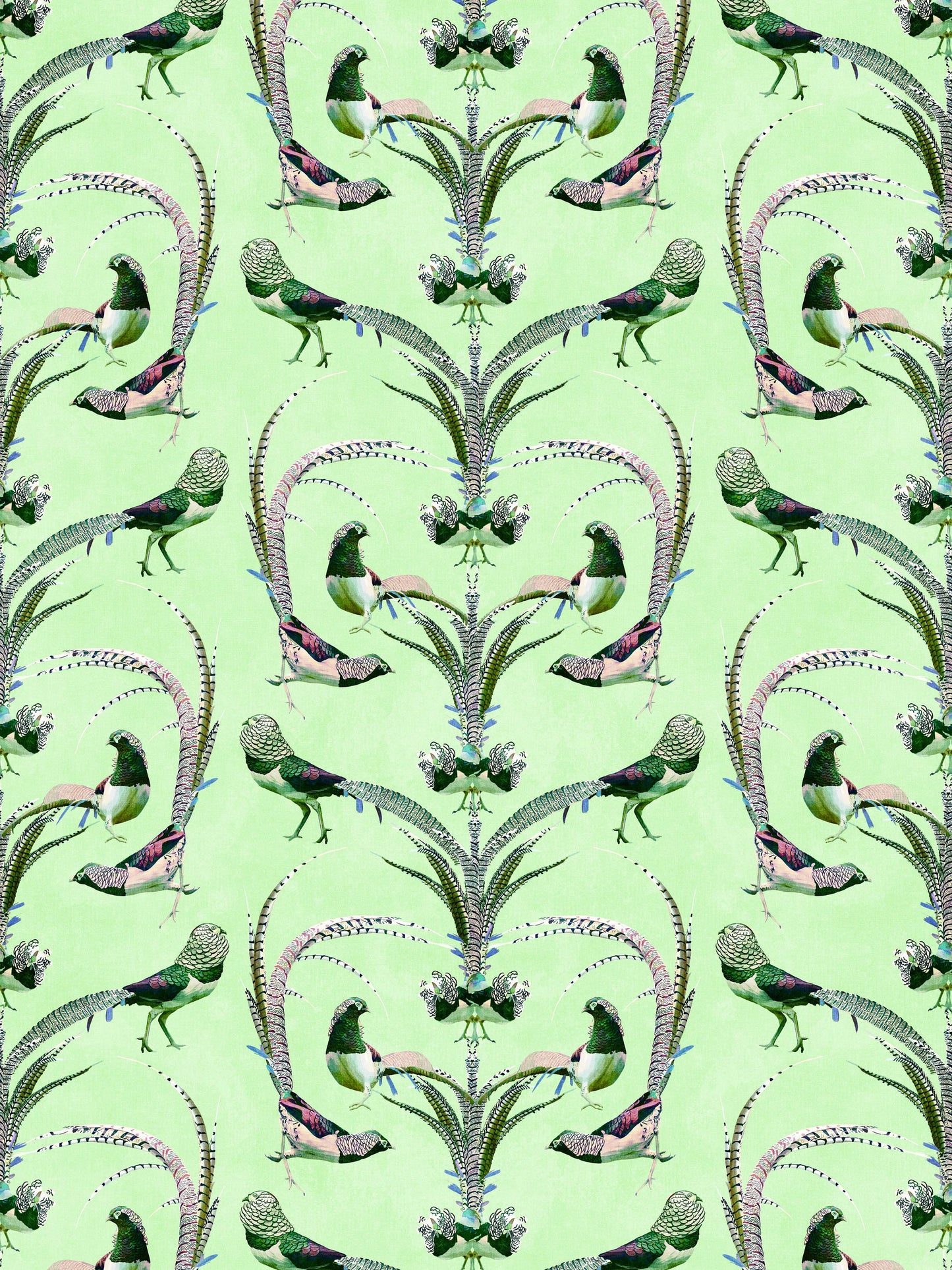 Lady Amherst Green