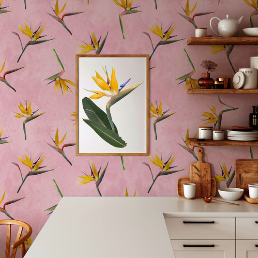Birds of Paradise Pink