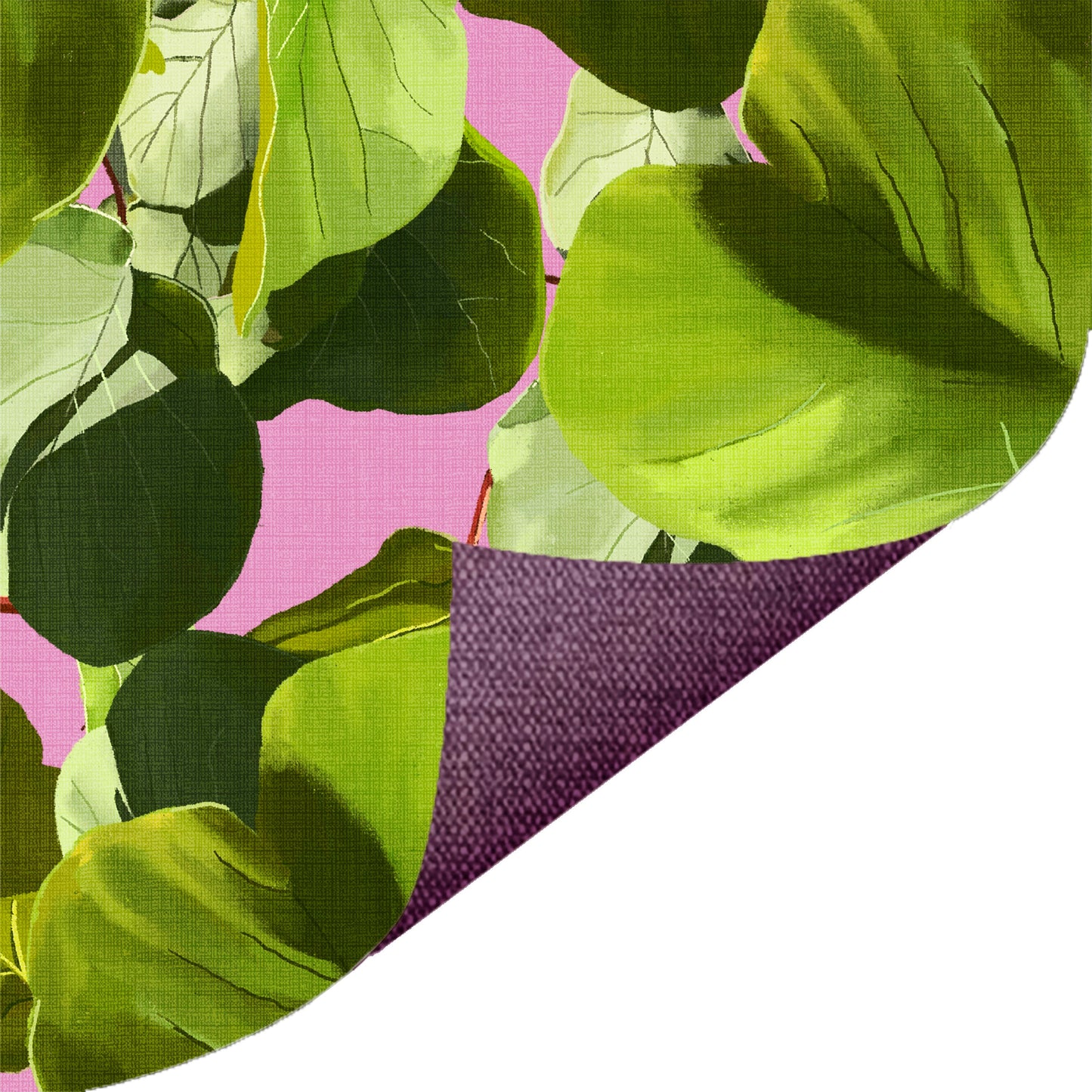Kiwi Leaves Green